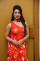 Actress Preety Kongana Photos